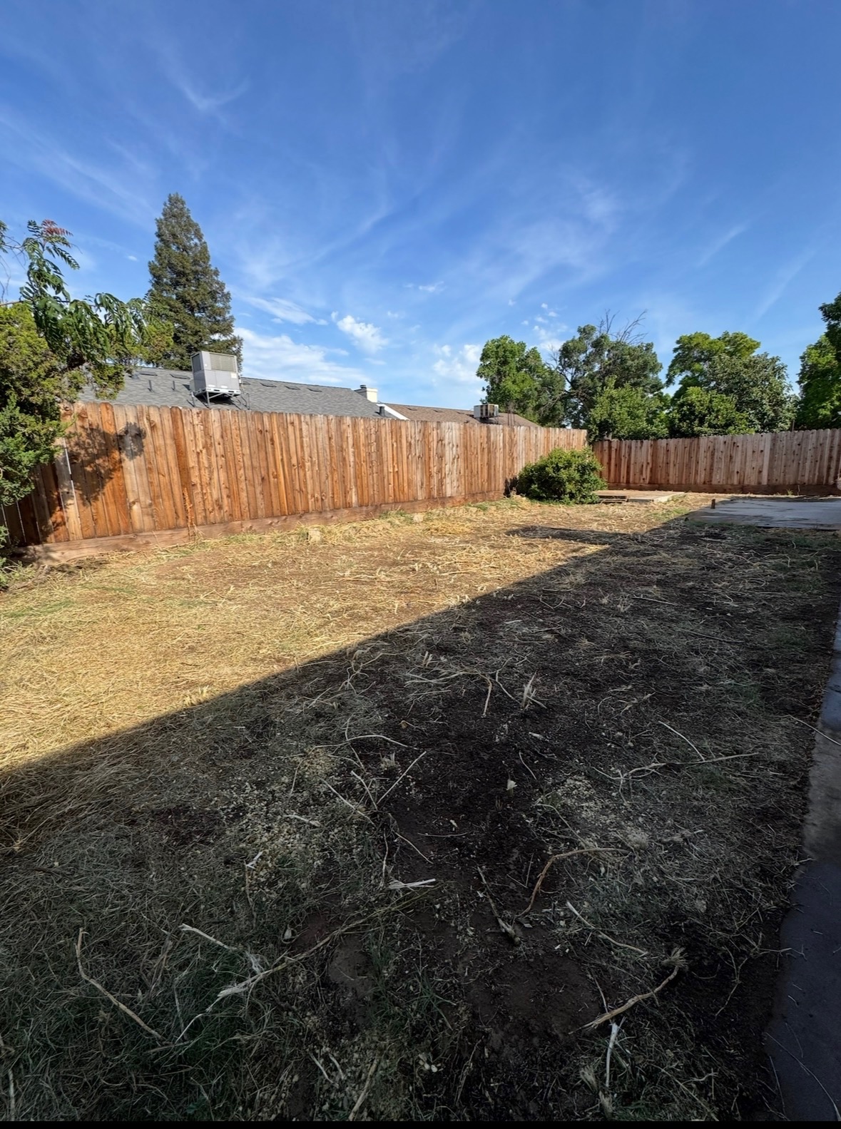 Cleared area after palm and brush removal